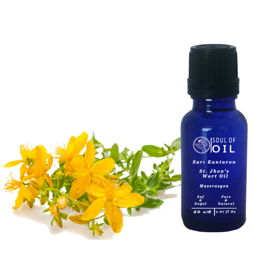 Soul Of Oil Sarı kantaron 100 ml Maserasyon