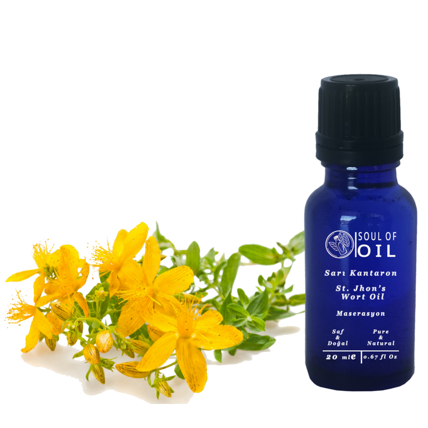 Soul Of Oil Sarı kantaron 100 ml Maserasyon