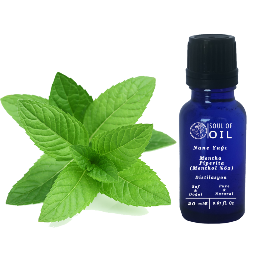 Soul Of Oil Nane Yağı (Mentol Oranı 62) 10 ml Uçucu Yağ