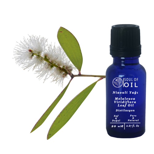 Soul Of Oil Niaouli Yağı 10 ml Uçucu Yağ