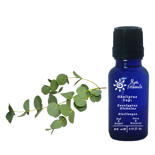 Soul Of Oil Okaliptus Yağı 20 ml Uçucu Yağ
