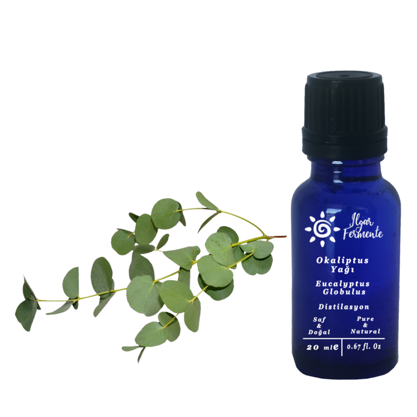 Soul Of Oil Okaliptus Yağı 20 ml Uçucu Yağ