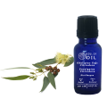 Soul Of Oil Okaliptus Yağı- citriodora 20 ml Uçucu Yağ
