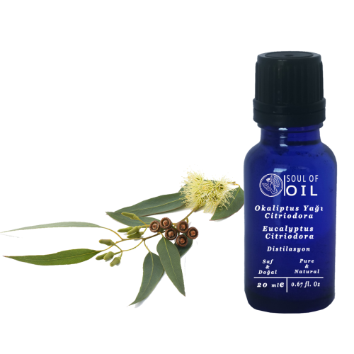 Soul Of Oil Okaliptus Yağı- citriodora 20 ml Uçucu Yağ
