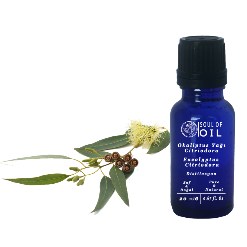 Soul Of Oil Okaliptus Yağı- citriodora 20 ml Uçucu Yağ