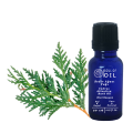 Soul Of Oil Sedir Ağacı Yağı 20 ml Uçucu Yağ