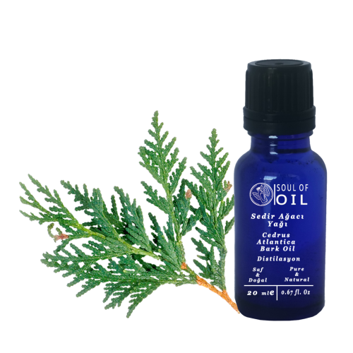 Soul Of Oil Sedir Ağacı Yağı 20 ml Uçucu Yağ