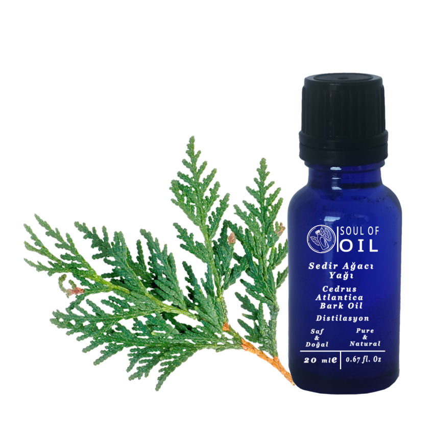 Soul Of Oil Sedir Ağacı Yağı 20 ml Uçucu Yağ
