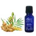 Soul Of Oil Zencefil Yağı 10 ml Uçucu Yağ