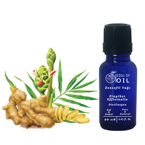 Soul Of Oil Zencefil Yağı 10 ml Uçucu Yağ