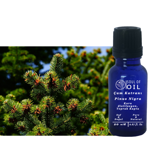 Soul Of Oil Çam Katranı 250 ml Kuru Distilasyon