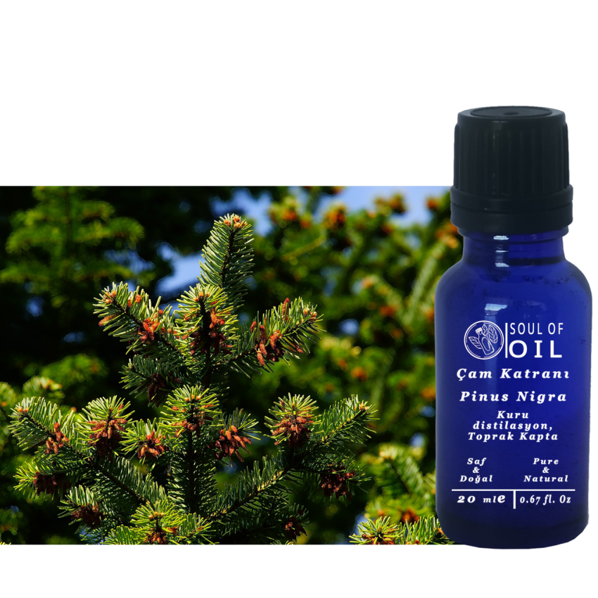 Soul Of Oil Çam Katranı 250 ml Kuru Distilasyon