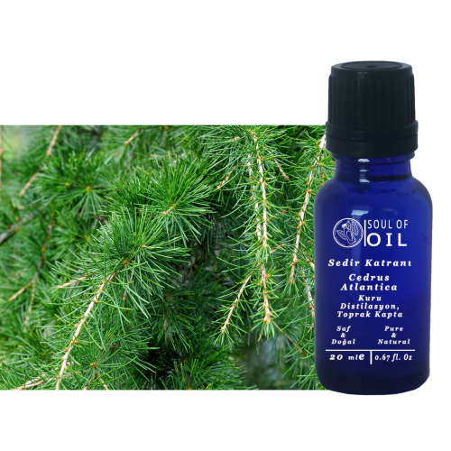 Soul Of Oil Sedir Katranı 50 ml Kuru Distilasyon