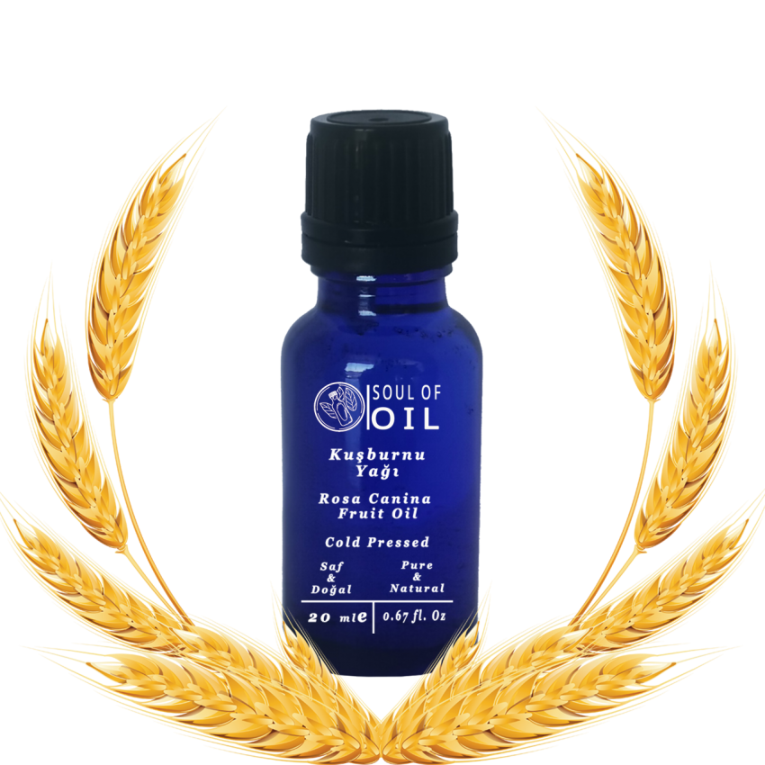Soul Of Oil Kuşburnu Yağı 20 ml Soğuk Sıkım