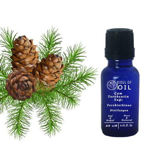 Soul Of Oil Çam Terebentin Yağı 20 ml