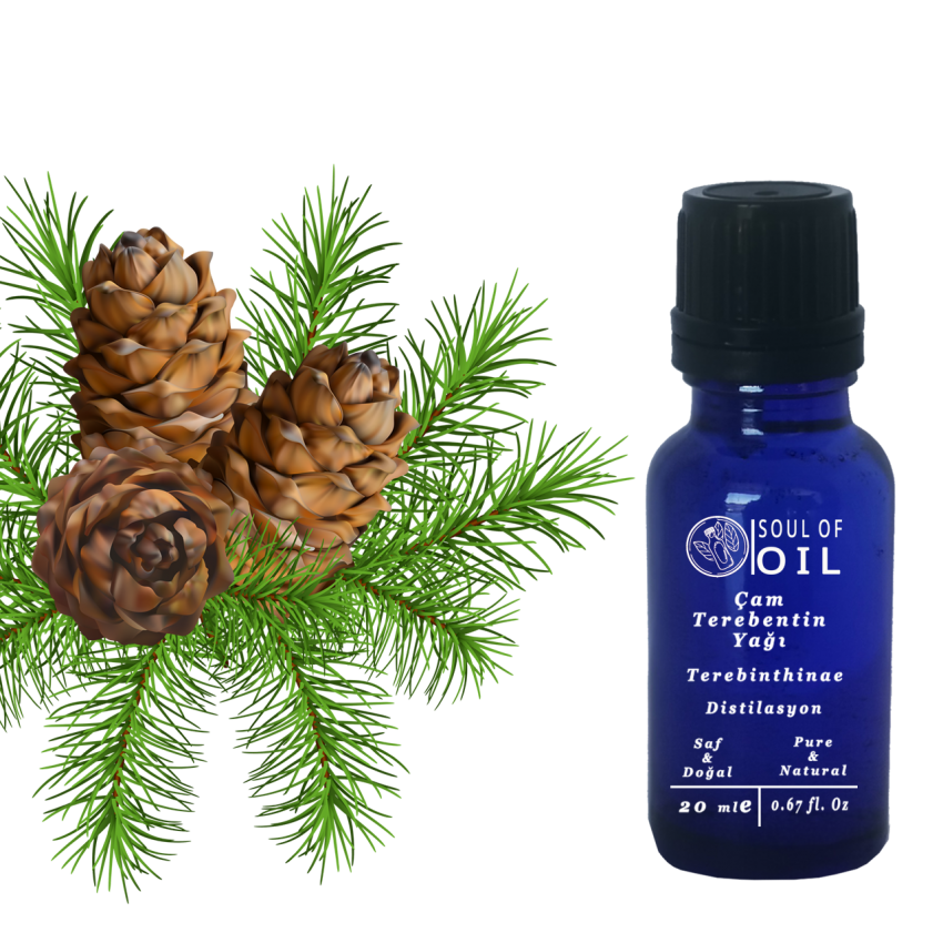 Soul Of Oil Çam Terebentin Yağı 20 ml