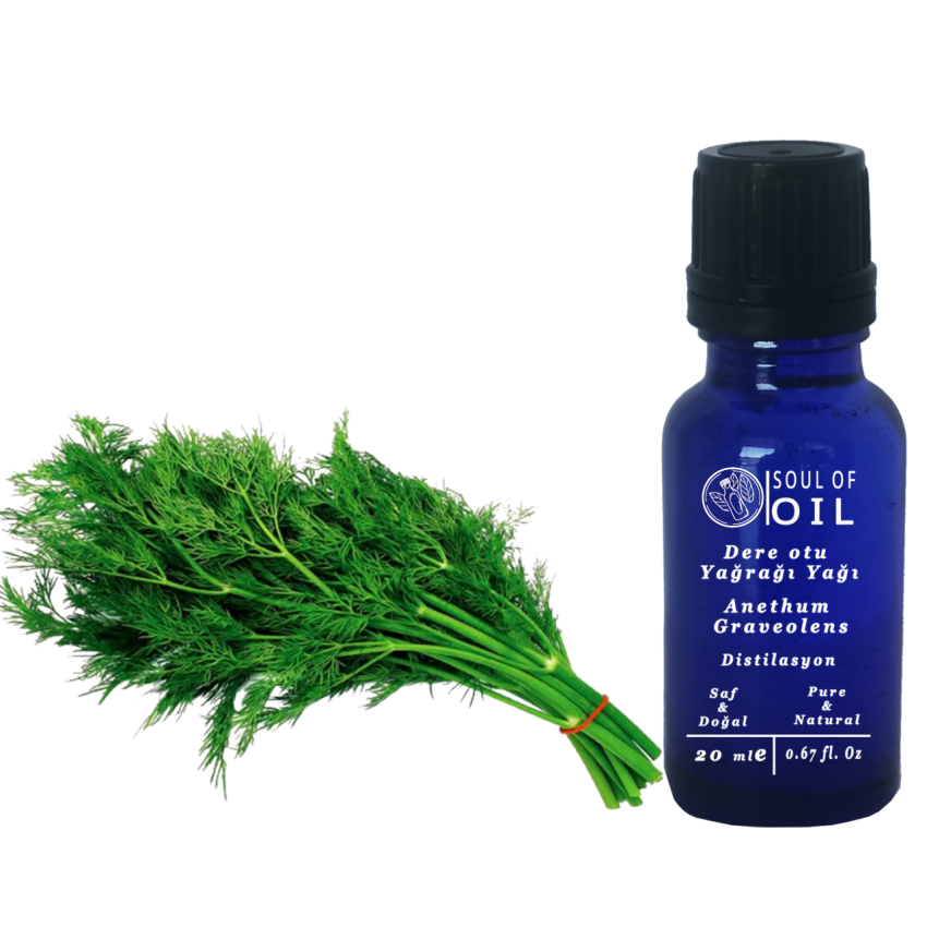 Soul Of Oil Dereotu Tohumu Yağı 10 ml Uçucu Yağ