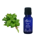 Soul Of Oil Fesleğen Yağı 20 ml Uçucu Yağ