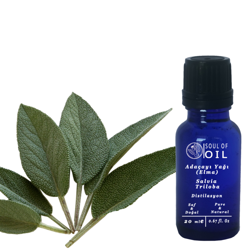 Soul of OIL Adaçayı (Elma) Yağı 20 ml Uçucu Yağ