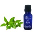 Soul Of Oil Fesleğen Yağı 20 ml Uçucu Yağ