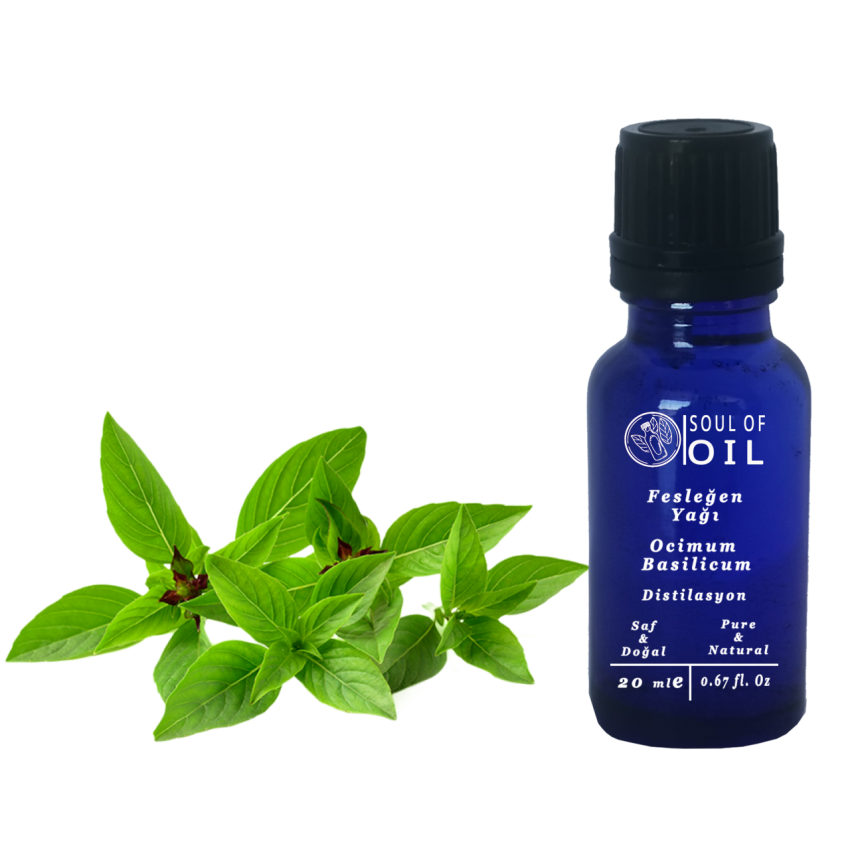 Soul Of Oil Fesleğen Yağı 20 ml Uçucu Yağ