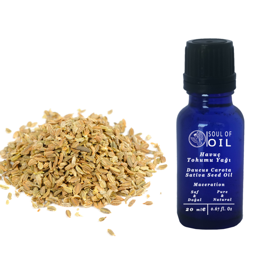 Soul Of Oil Havuç Tohumu Yağı 20 ml Maserasyon