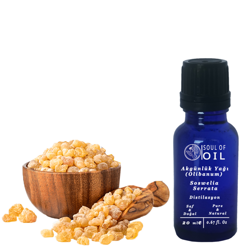 Soul Of Oil Akgünlük Yağı (Olibanum) 10 ml Uçucu Yağ