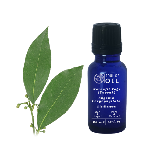 Soul Of Oil Karanfil Yaprağı Yağı 20 ml Uçucu Yağ