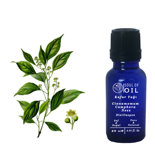 Soul Of Oil Kafur (Sıvı) 10 ml Uçucu Yağ