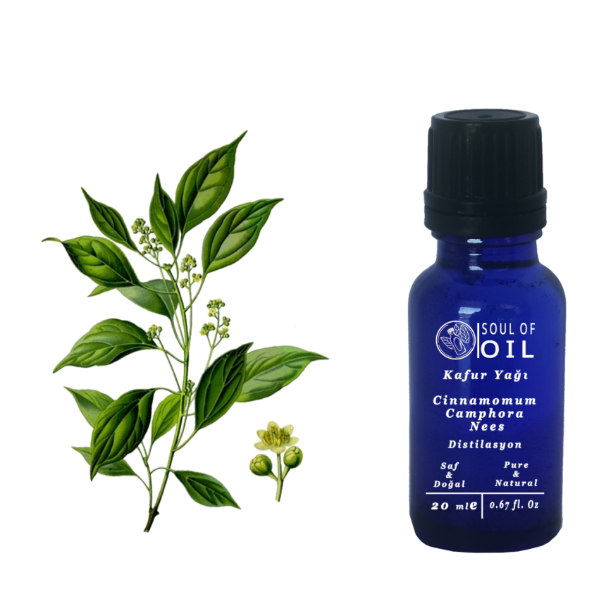 Soul Of Oil Kafur (Sıvı) 10 ml Uçucu Yağ
