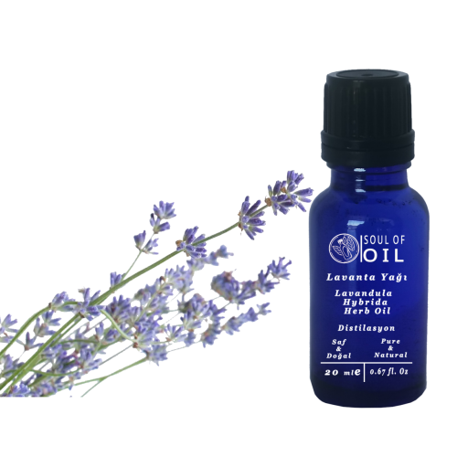 Soul Of Oil Lavanta Yağı 20 ml Uçucu Yağ