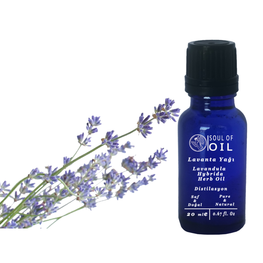 Soul Of Oil Lavanta Yağı 20 ml Uçucu Yağ
